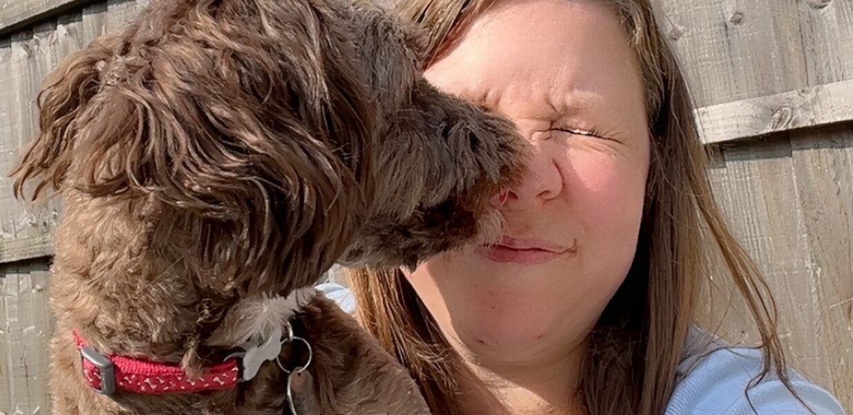 I’m bringing my blog back (again)